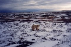 0019_1994_Manitoba