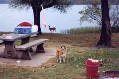 Jessica ja kauris, Arkansas1996