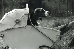 1974_Pori0110