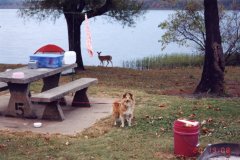 1_0019_Arkansas1996