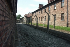Auschwitz