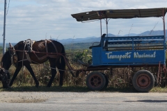 0642_Trinidad
