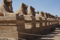 1_7723_Luxor
