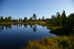 3395_Kepa