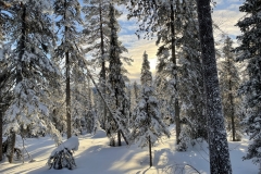 Salla