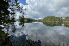 IMG_0985